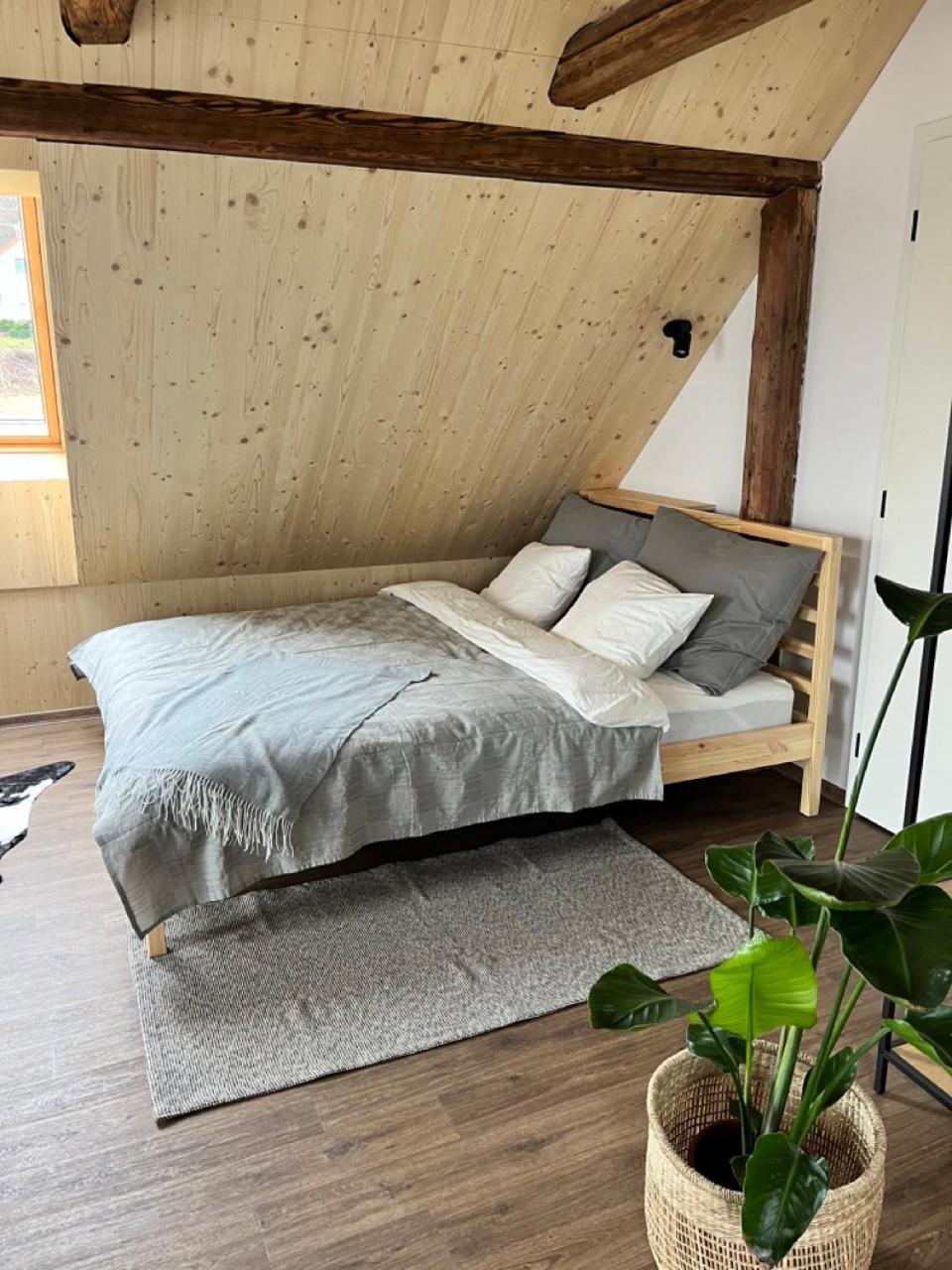 Sanky Apartmany Liberec Buitenkant foto